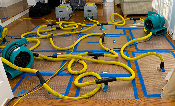 Professional Basement Flood Cleanup technician working in Rushville, OH